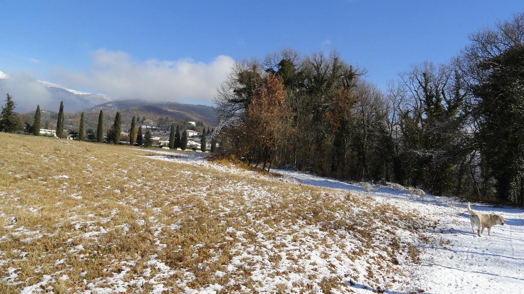 Agriturismo Cardito Santa Rufina ภายนอก รูปภาพ