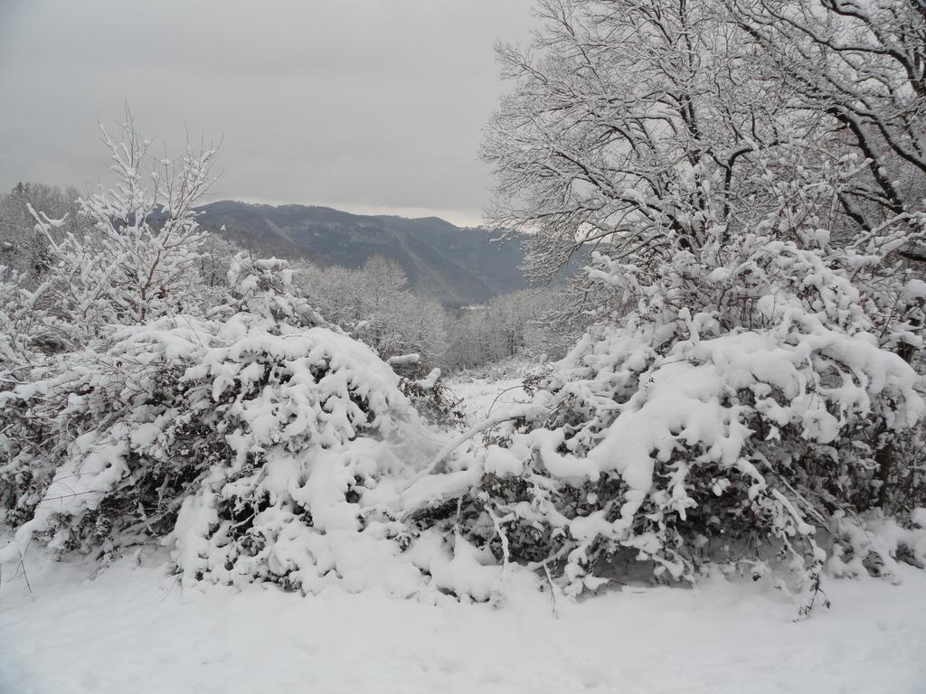 Agriturismo Cardito Santa Rufina ภายนอก รูปภาพ